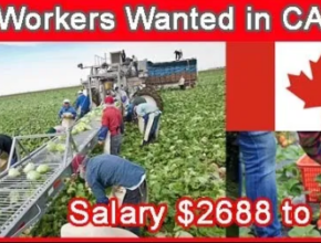 Farm Work Hiring in Canada
