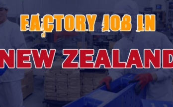 Factory Worker Hiring In New Zealand