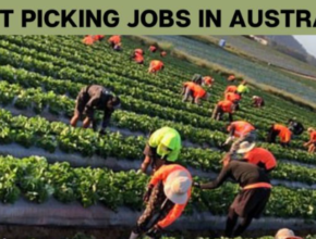 Farming Jobs In Australia